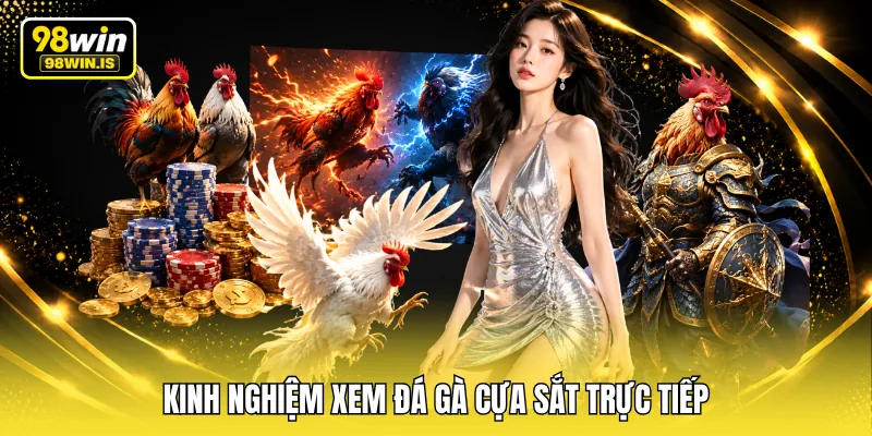 kinh nghiem xem da ga cua sat truc tiep Kinh nghiệm xem đá gà cựa sắt trực tiếp